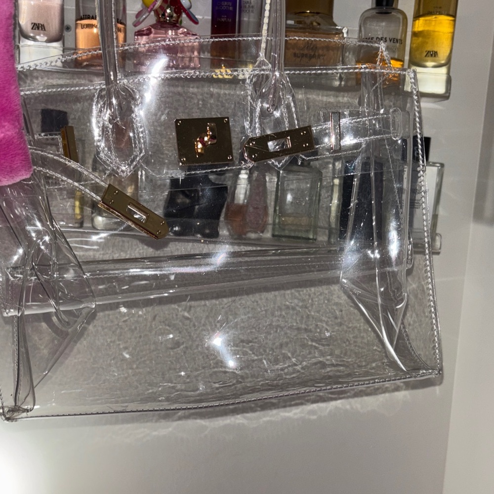 Transparent Satchel Bag